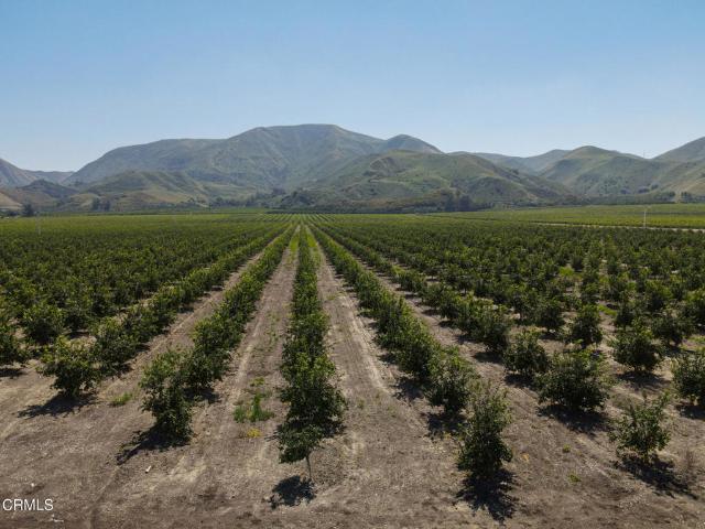 Land for sale in Fillmore, California