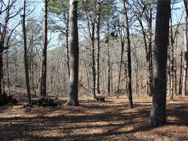 Land for sale in Kansas, Delaware County