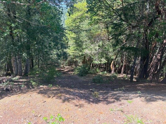 Land for sale in Willits, California