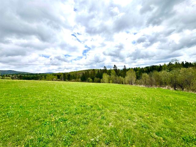 Land for sale in New Hampshire