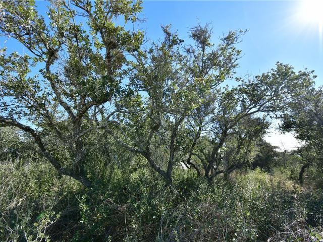 Land for sale in Rockport, Texas