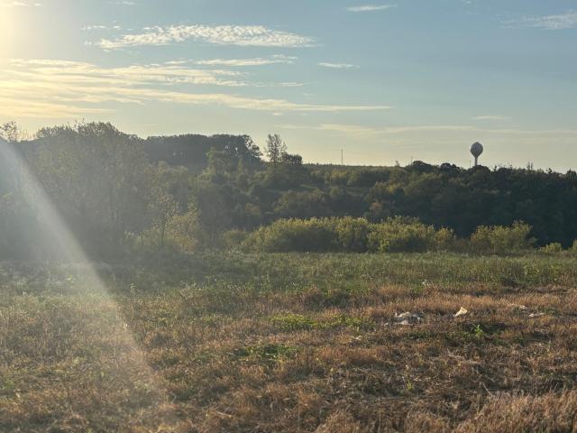 Land for sale in Dover, Minnesota