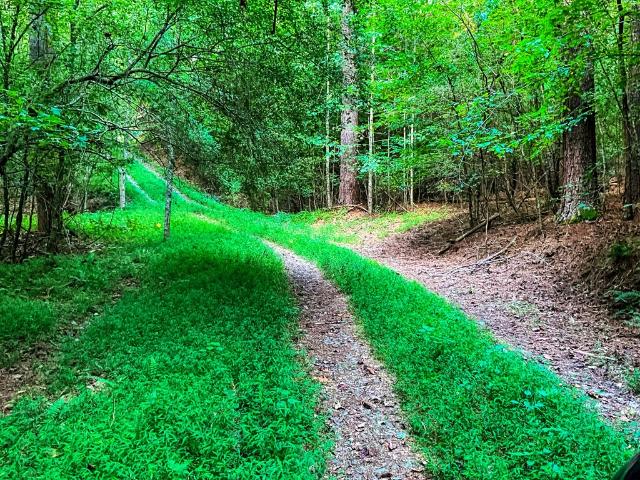 Property for sale in Gilmer, Georgia