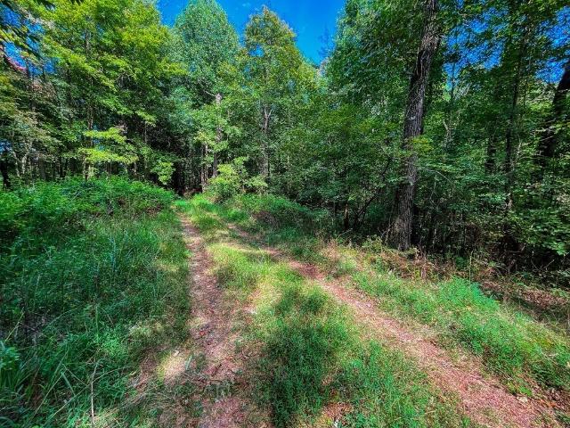 Property for sale in Gilmer, Georgia