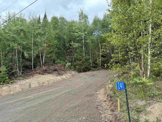 Land for sale in Neebing, Ontario