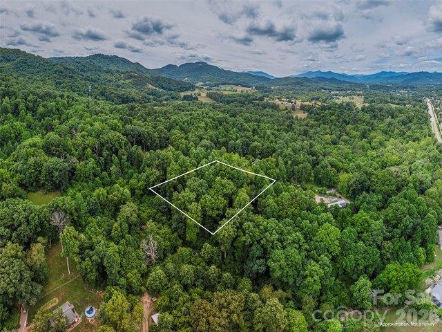 Land for sale in Haywood, North Carolina