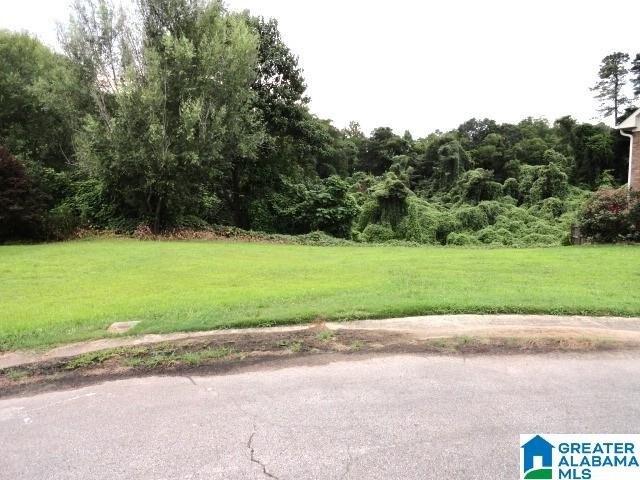 Land for sale in Adamsville, Alabama