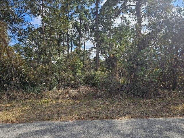 Land for sale in Lake Placid, Florida