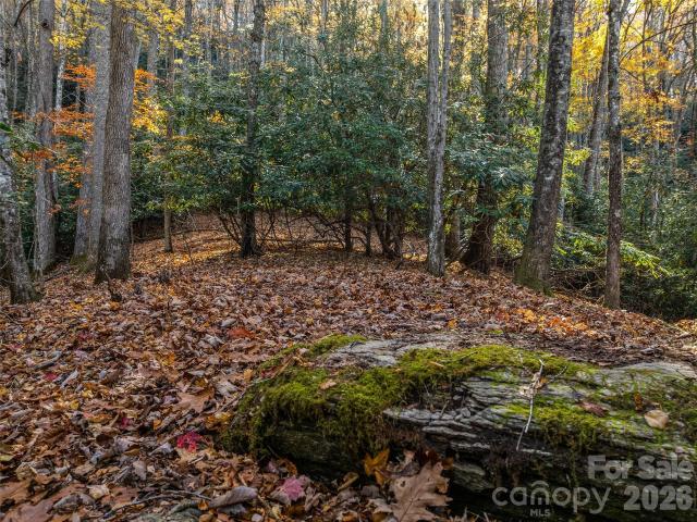 Land for sale in Transylvania, North Carolina