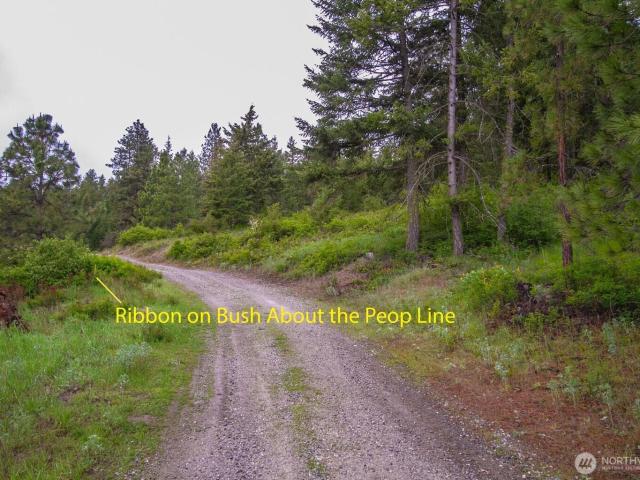 Land for sale in Addy, Washington