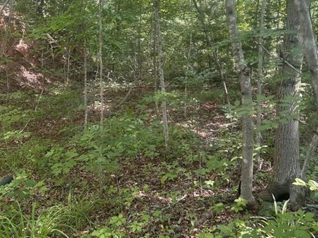 Land for sale in Bryson City, North Carolina