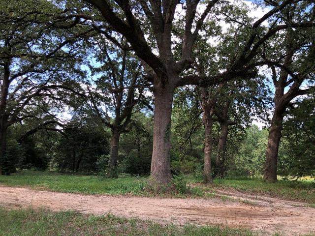 House for sale in Nacogdoches, Texas