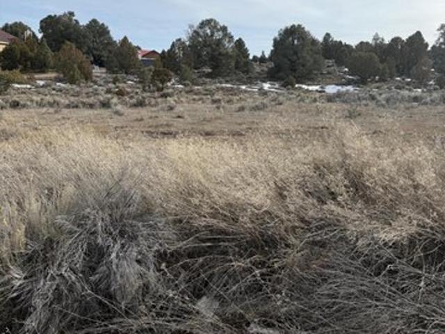 Land for sale in Reno, Nevada