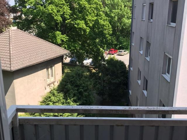 Apartment mieten in Halbturn, Burgenland