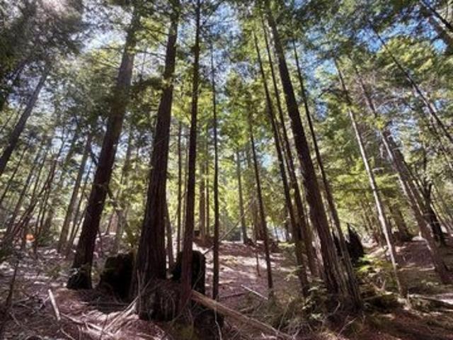 Land for sale in Willits, California