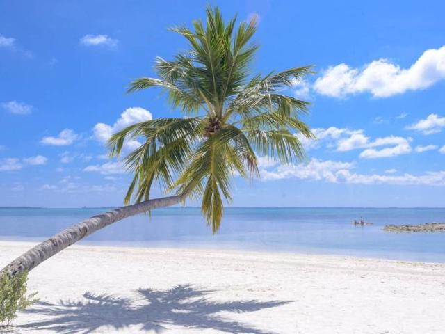 Apartment for rent in Long Beach, California