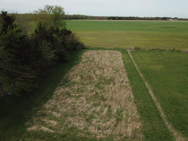 Land for sale in Essex, Illinois
