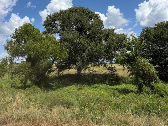 Farm for sale in Hempstead, Texas