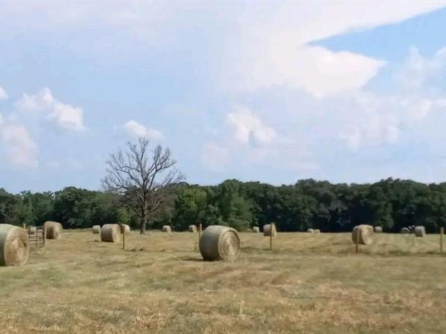 Land for sale in Como, Texas