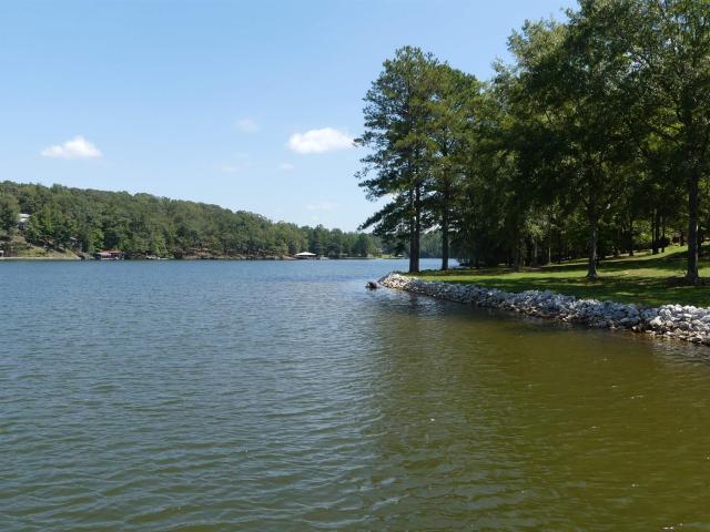 Land for sale in Ava, Wedowee