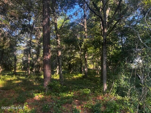 Land for sale in Bolivia, Brunswick County