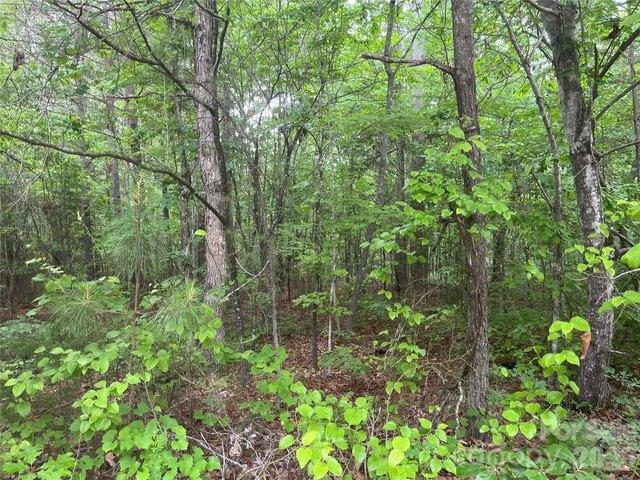 Land for sale in Smyrna, South Carolina