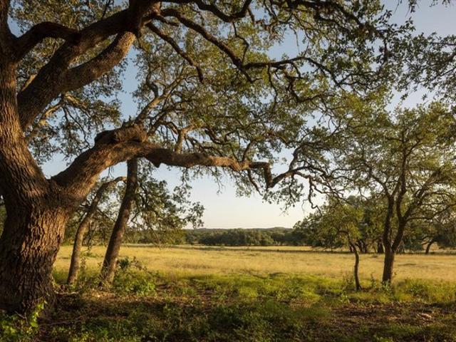 Farm for sale in Dripping Springs, Hays County