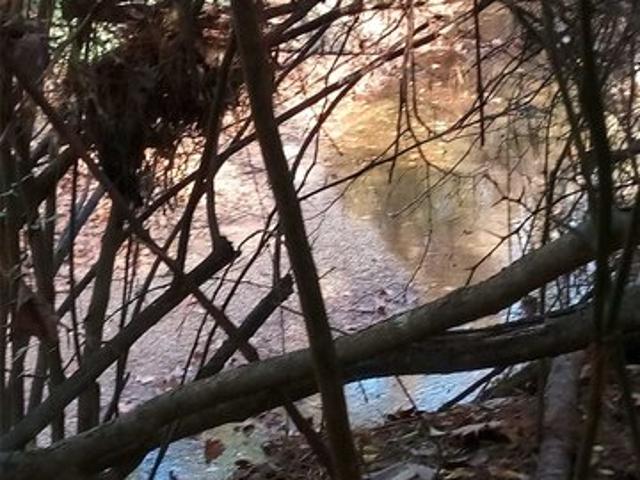 Land for sale in Magnolia, Montgomery County