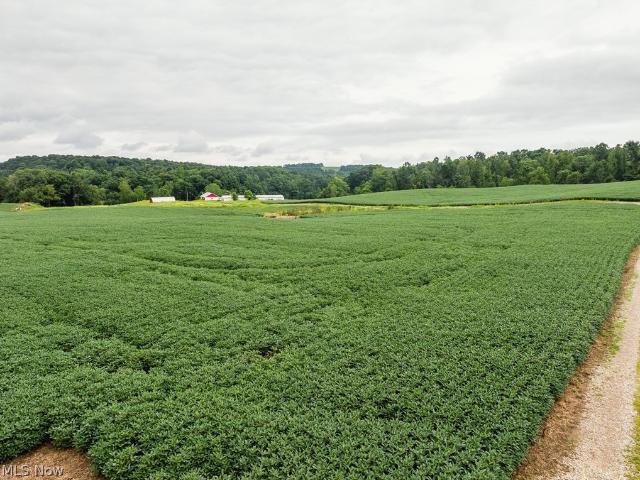 Land for sale in Lucas, Ohio