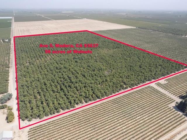 Land for sale in Madera, California