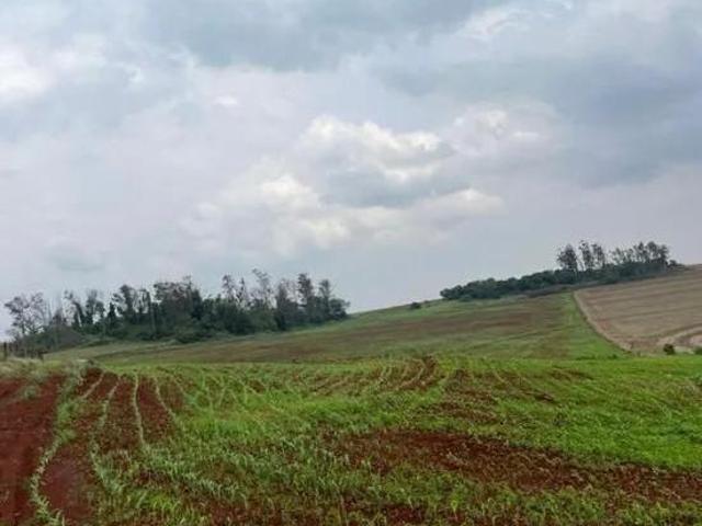 Sítio e chácara venda em Londrina