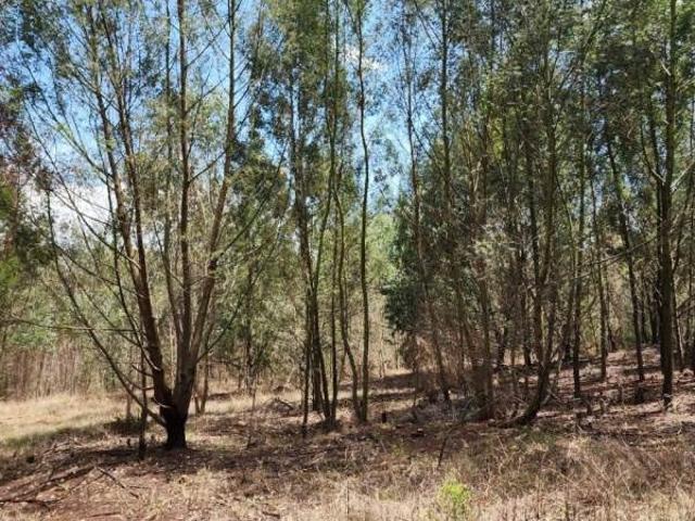 Land for sale in Belfast, Mpumalanga