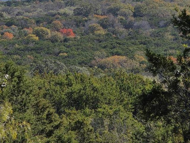 Land for sale in Gordon, Texas