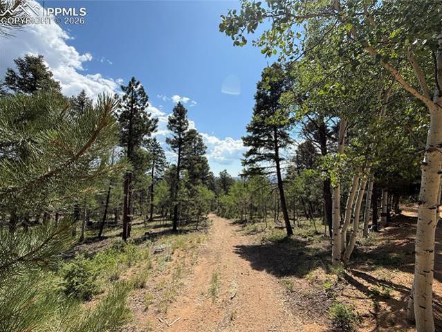 Land for sale in Teller, Colorado