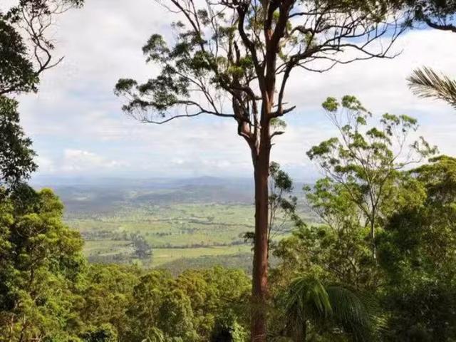 House for rent in Tamborine Mountain, Queensland