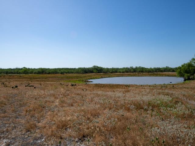Farm for sale in Tilden, McMullen County