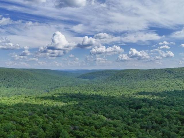 Land for sale in Forestburgh, New York