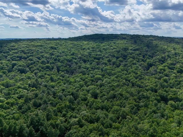 Land for sale in Forestburgh, New York