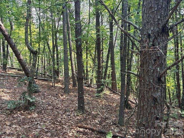 Land for sale in Rutherford, North Carolina