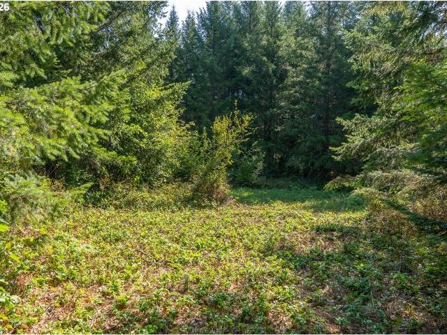 Land for sale in Carson, Skamania County