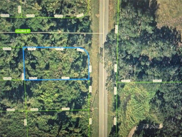 Land for sale in Lake Placid, Florida