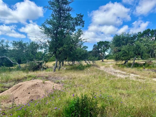 Land for sale in Williamson, Texas