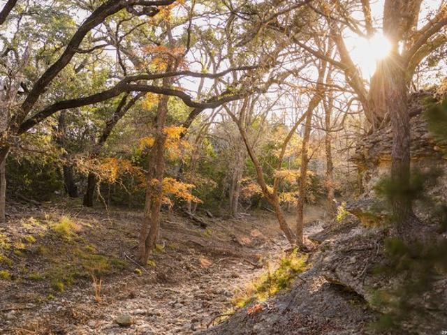 Farm for sale in Blanco, Texas
