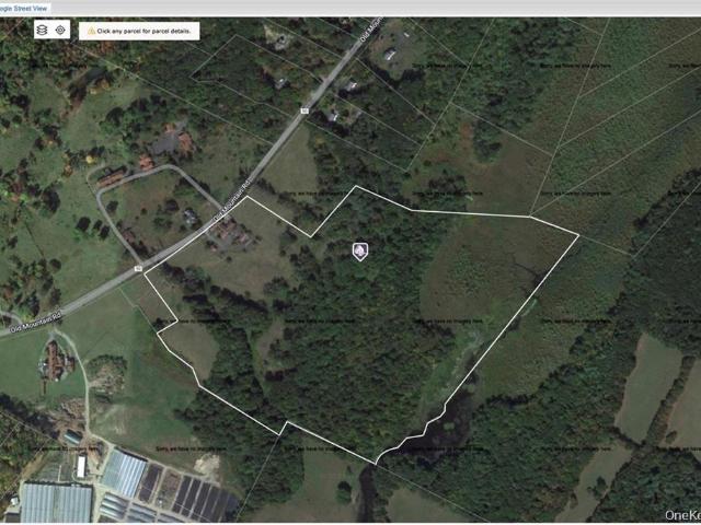 Land for sale in Town of Mount Hope, Orange County