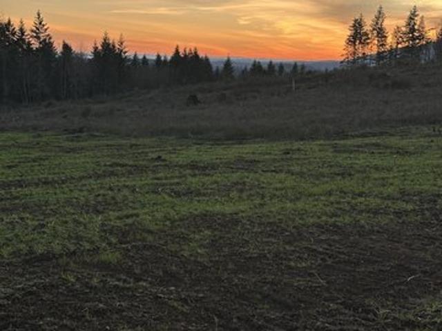 Land for sale in Castle Rock, Washington