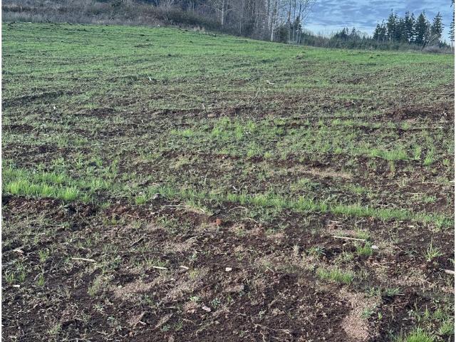 Land for sale in Castle Rock, Washington