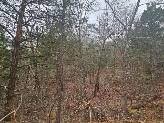 Land for sale in Viola, Fulton County