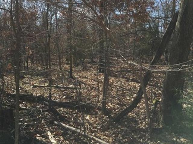 Land for sale in Viola, Fulton County