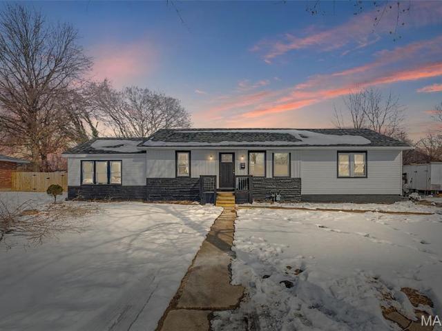 House for sale in East Saint Louis, Illinois