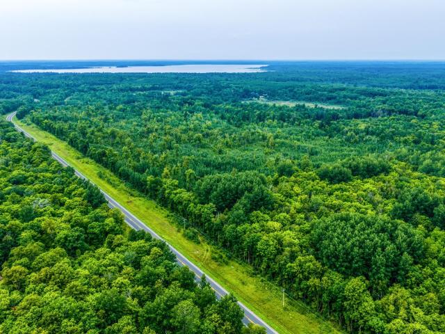 Land for sale in Beltrami, Minnesota